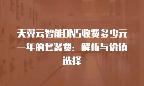 天翼云智能DNS收费多少元一年的套餐费：解析与价值选择