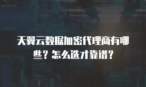 天翼云数据加密代理商有哪些？怎么选才靠谱？