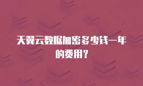 天翼云数据加密多少钱一年的费用？
