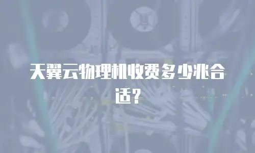 天翼云物理机收费多少兆合适？