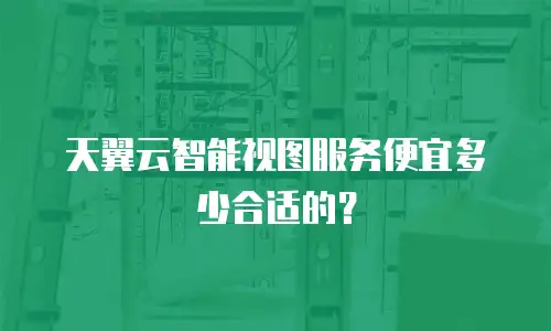 天翼云智能视图服务便宜多少合适的？
