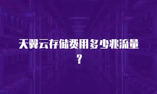 天翼云存储费用多少兆流量？