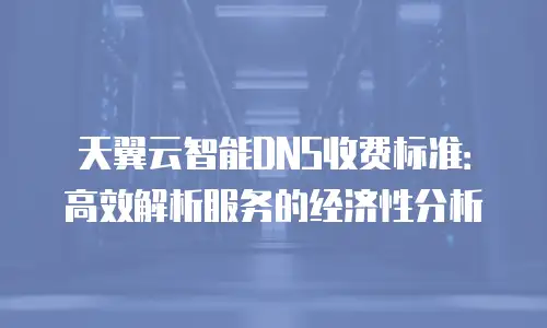 天翼云智能DNS收费标准：高效解析服务的经济性分析