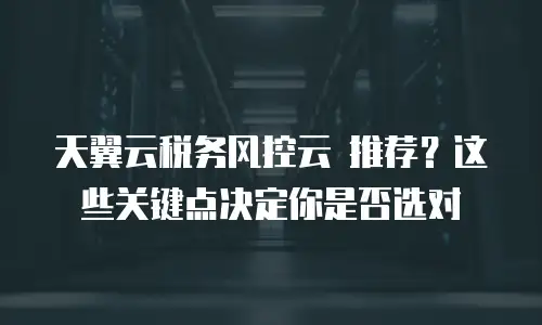 天翼云税务风控云 推荐？这些关键点决定你是否选对