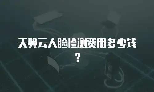 天翼云人脸检测费用多少钱？