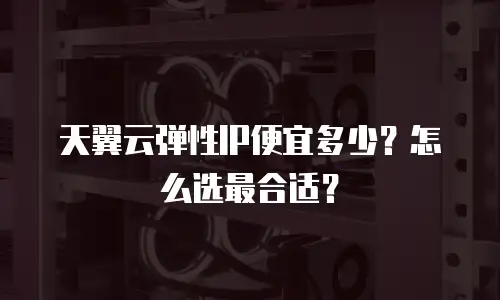天翼云弹性IP便宜多少？怎么选最合适？