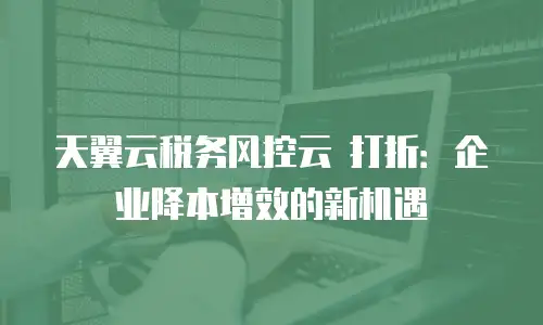天翼云税务风控云 打折：企业降本增效的新机遇