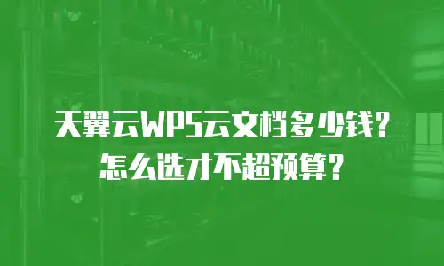 天翼云WPS云文档多少钱？怎么选才不超预算？
