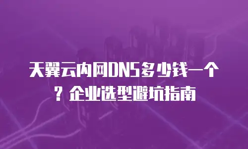 天翼云内网DNS多少钱一个？企业选型避坑指南