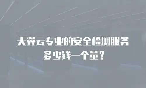 天翼云专业的安全检测服务多少钱一个量？