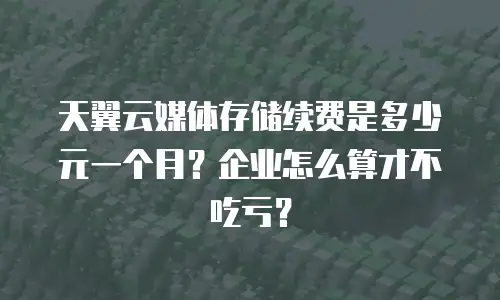 天翼云媒体存储续费是多少元一个月？企业怎么算才不吃亏？
