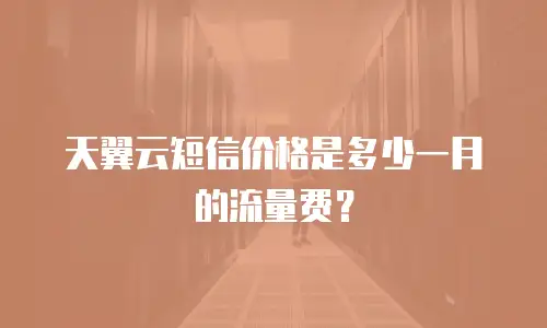 天翼云短信价格是多少一月的流量费？