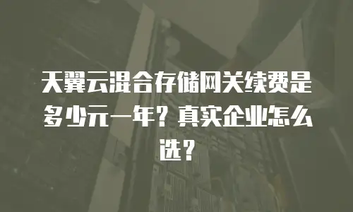 天翼云混合存储网关续费是多少元一年？真实企业怎么选？