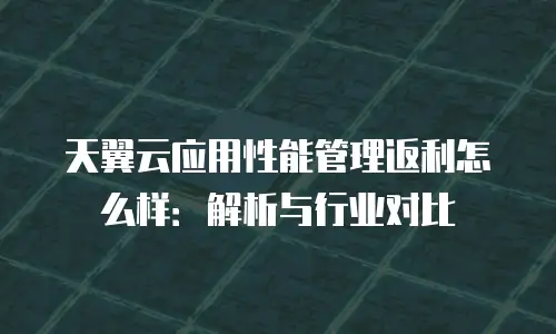 天翼云应用性能管理返利怎么样：解析与行业对比