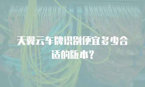 天翼云车牌识别便宜多少合适的版本？