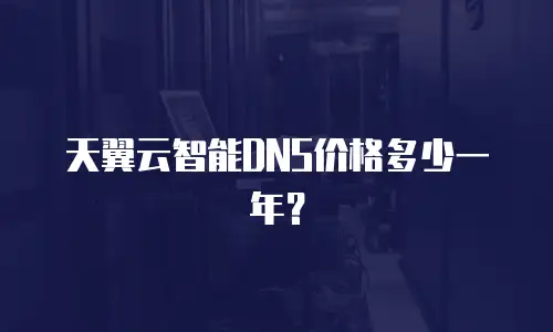 天翼云智能DNS价格多少一年？