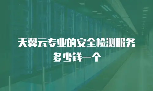 天翼云专业的安全检测服务多少钱一个