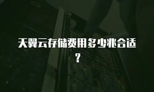 天翼云存储费用多少兆合适？