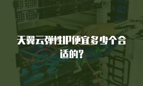 天翼云弹性IP便宜多少个合适的？