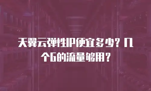 天翼云弹性IP便宜多少？几个G的流量够用？