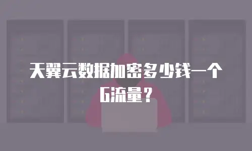 天翼云数据加密多少钱一个G流量？