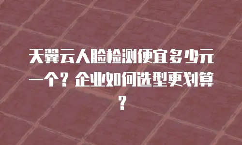 天翼云人脸检测便宜多少元一个？企业如何选型更划算？