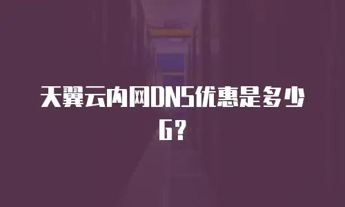 天翼云内网DNS优惠是多少G？