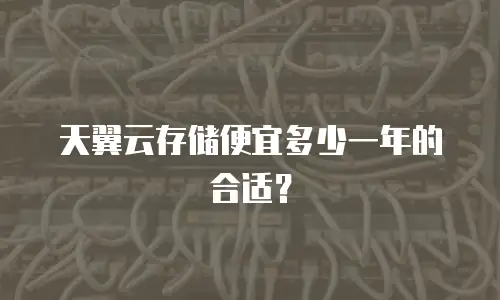 天翼云存储便宜多少一年的合适？