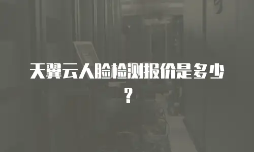 天翼云人脸检测报价是多少？