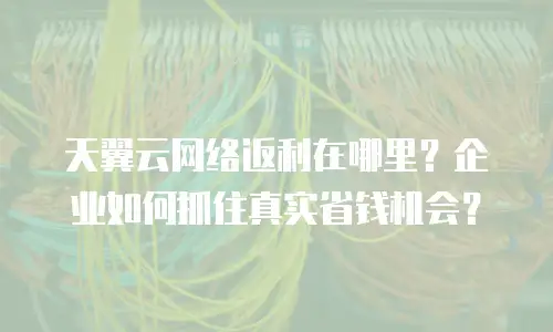 天翼云网络返利在哪里？企业如何抓住真实省钱机会？