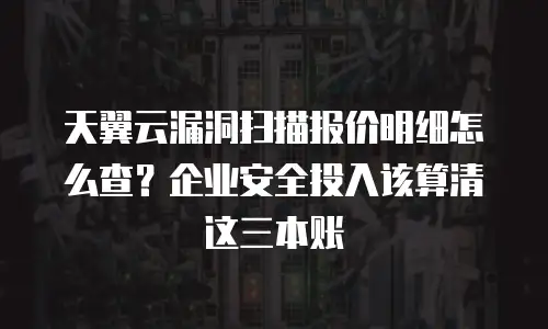 天翼云漏洞扫描报价明细怎么查？企业安全投入该算清这三本账
