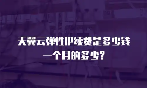 天翼云弹性IP续费是多少钱一个月的多少？