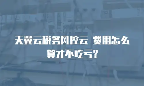 天翼云税务风控云 费用怎么算才不吃亏？