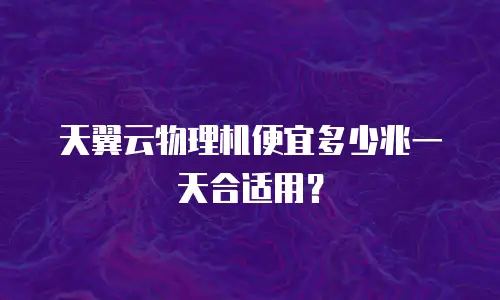 天翼云物理机便宜多少兆一天合适用？