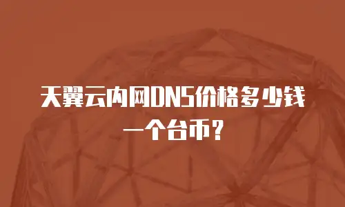 天翼云内网DNS价格多少钱一个台币？