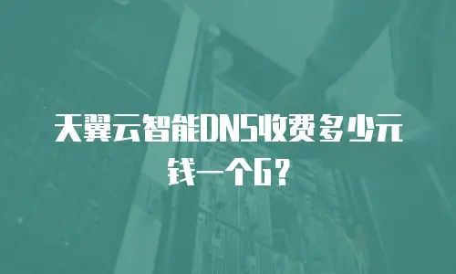 天翼云智能DNS收费多少元钱一个G？