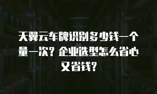 天翼云车牌识别多少钱一个量一次？企业选型怎么省心又省钱？
