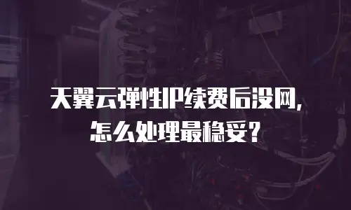天翼云弹性IP续费后没网，怎么处理最稳妥？