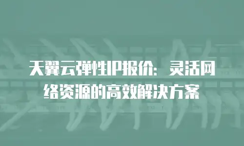 天翼云弹性IP报价：灵活网络资源的高效解决方案