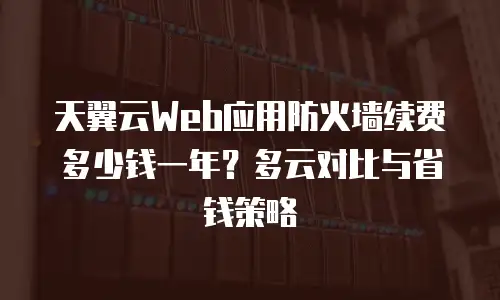 天翼云Web应用防火墙续费多少钱一年？多云对比与省钱策略