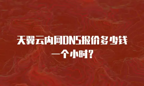 天翼云内网DNS报价多少钱一个小时？