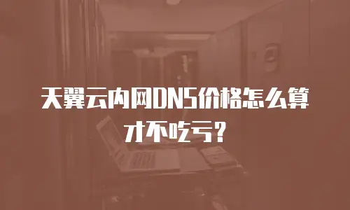 天翼云内网DNS价格怎么算才不吃亏？