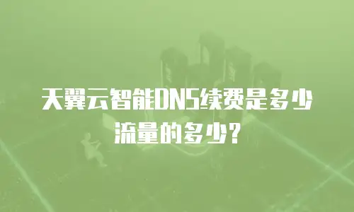 天翼云智能DNS续费是多少流量的多少？