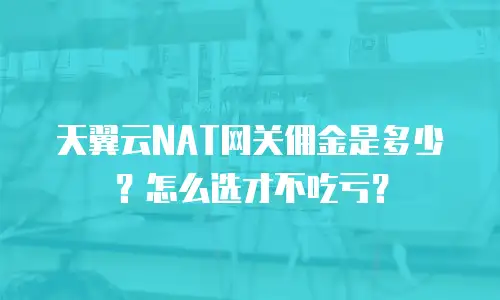 天翼云NAT网关佣金是多少？怎么选才不吃亏？