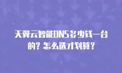 天翼云智能DNS多少钱一台的？怎么选才划算？