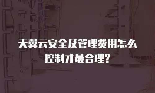 天翼云安全及管理费用怎么控制才最合理？