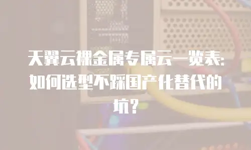 天翼云裸金属专属云一览表：如何选型不踩国产化替代的坑？