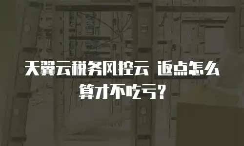 天翼云税务风控云 返点怎么算才不吃亏？