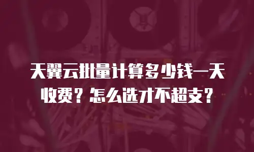 天翼云批量计算多少钱一天收费？怎么选才不超支？