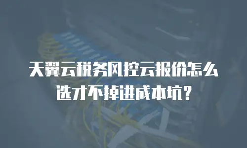 天翼云税务风控云报价怎么选才不掉进成本坑？